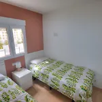 Casa Cocodrilo By Casas Cocodrilo